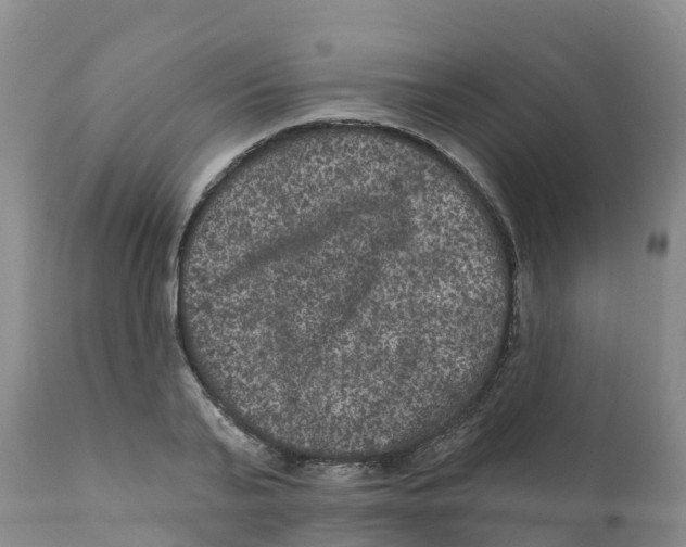 X0000111640791200908141406
