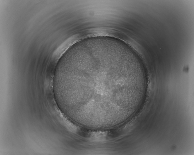 X0000111640793200908141406