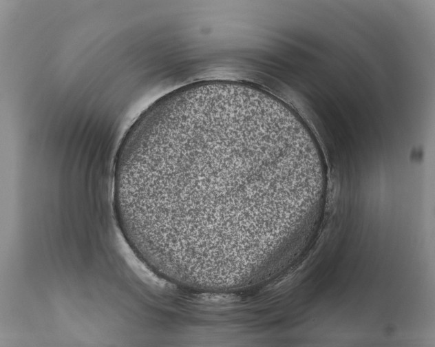 X0000111640795200908141406