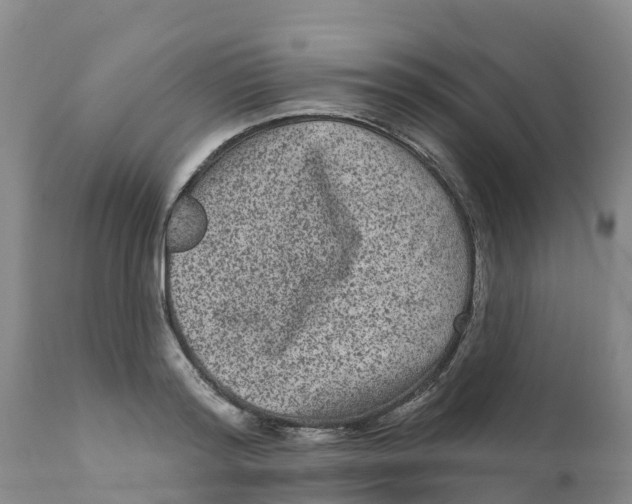 X0000111640796200908141406