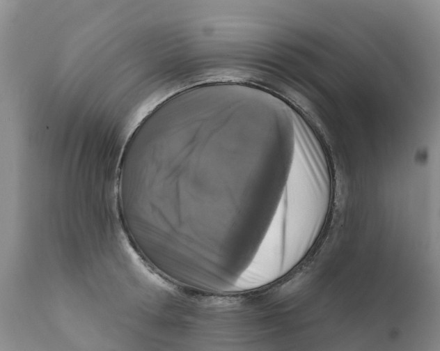 X0000111640802200908141406