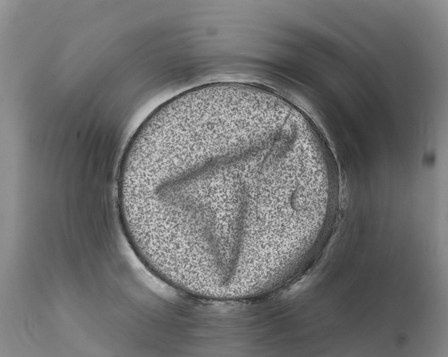 X0000111640803200908141406