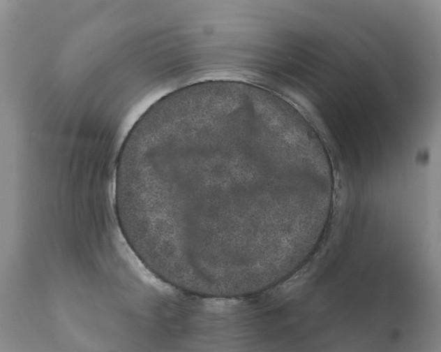 X0000111640804200908141405