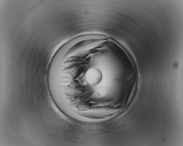 X0000111640805200908141405