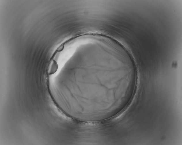 X0000111640806200908141405