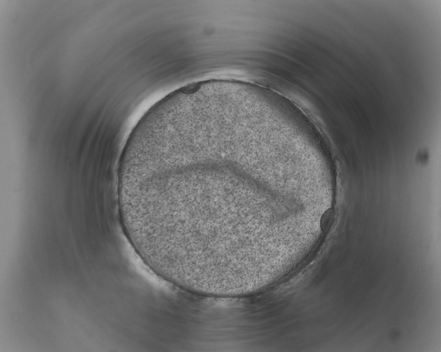 X0000111640808200908141405