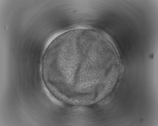 X0000111640811200908141405