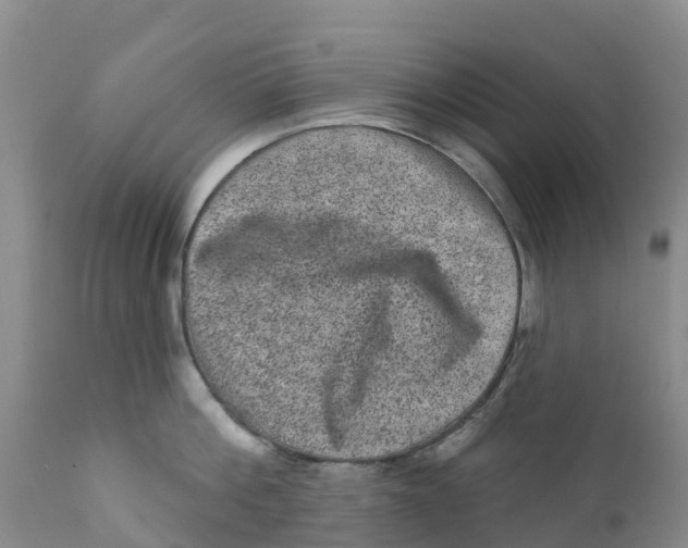 X0000111640812200908141405
