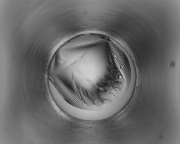 X0000111640813200908141405