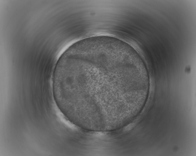 X0000111640814200908141405