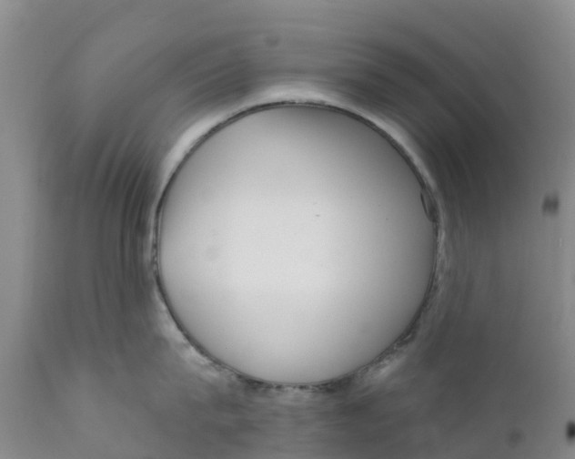 X0000111640815200908141405