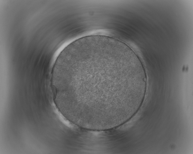 X0000111640816200908141405