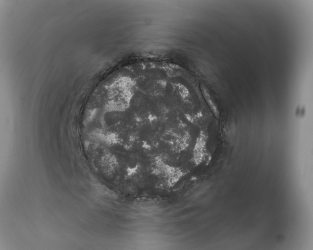 X0000111640817200908141405