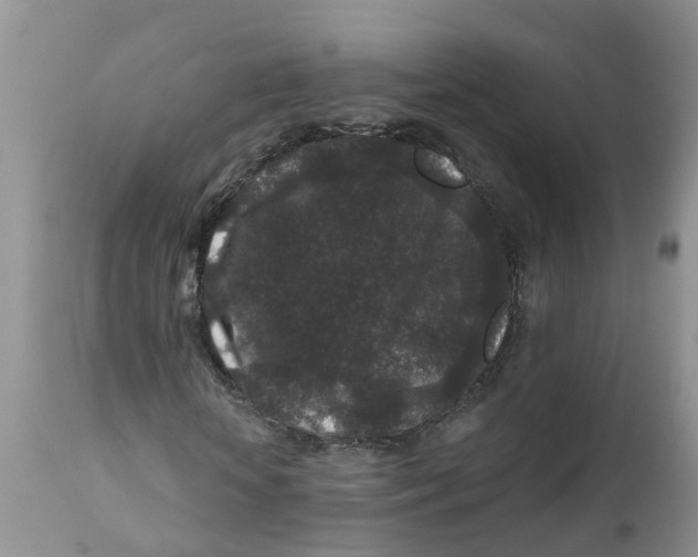 X0000111640818200908141405