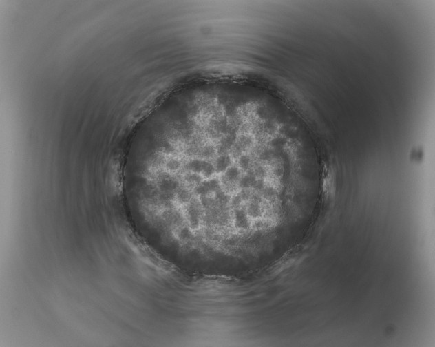 X0000111640819200908141405