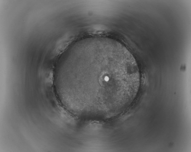 X0000111640820200908141405