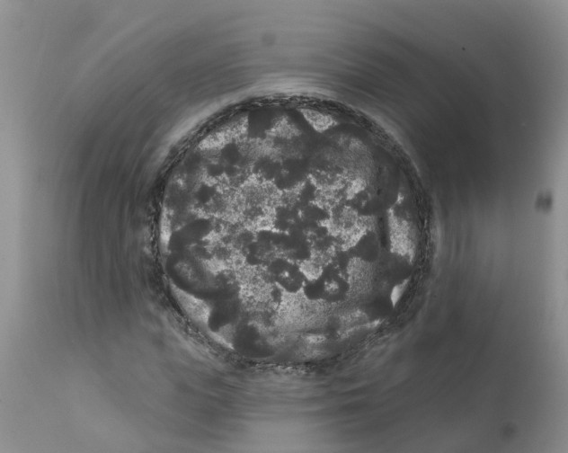 X0000111640823200908141405