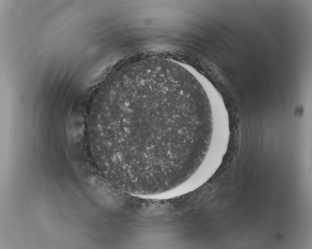 X0000111640824200908141405