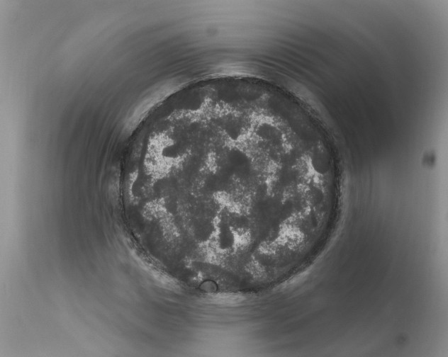 X0000111640825200908141405