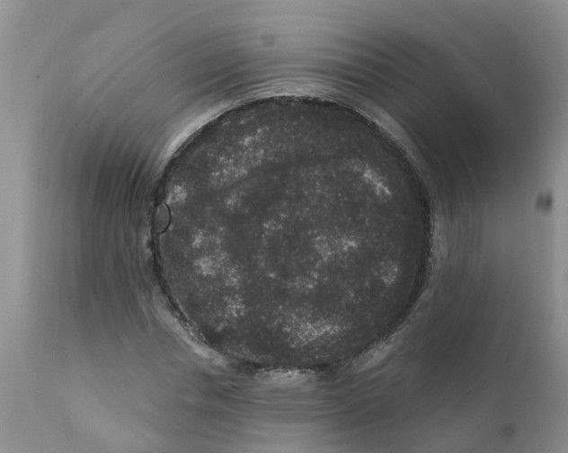 X0000111640826200908141405