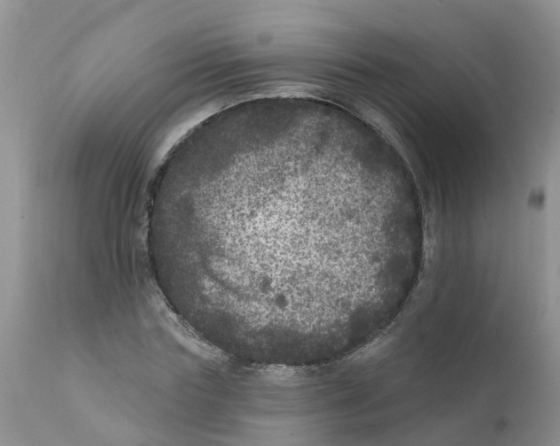 X0000111640827200908141405