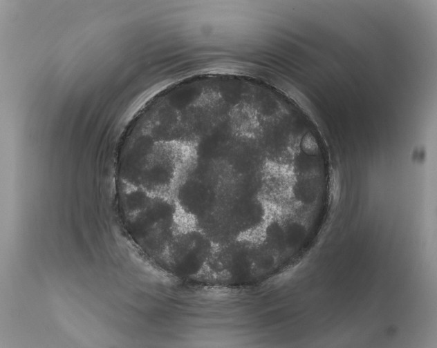 X0000111640829200908141405
