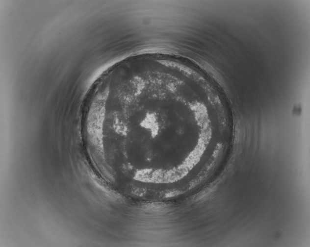 X0000111640830200908141405