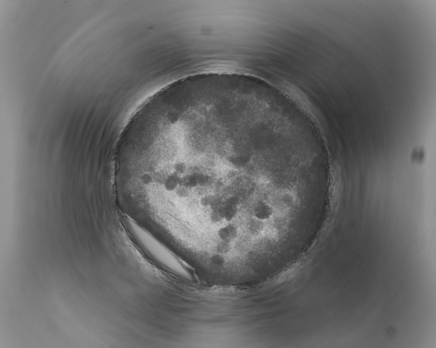 X0000111640831200908141405