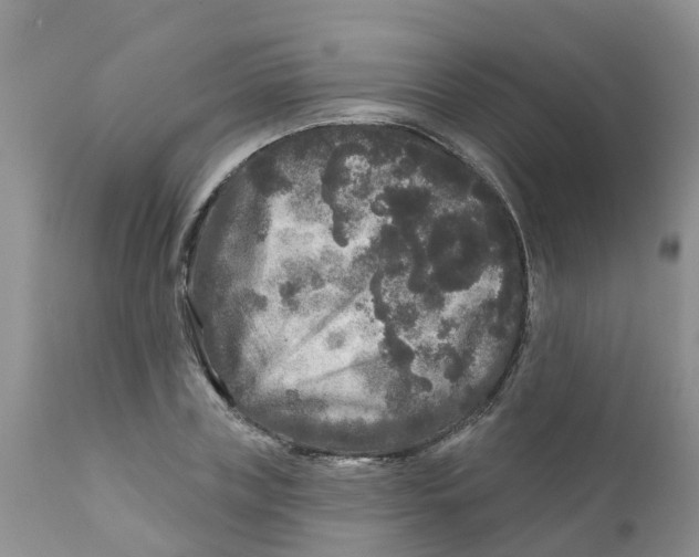 X0000111640835200908141405