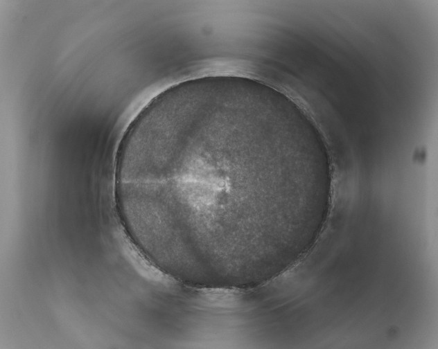 X0000111640836200908141405
