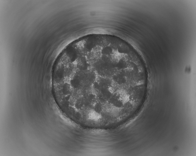X0000111640837200908141405