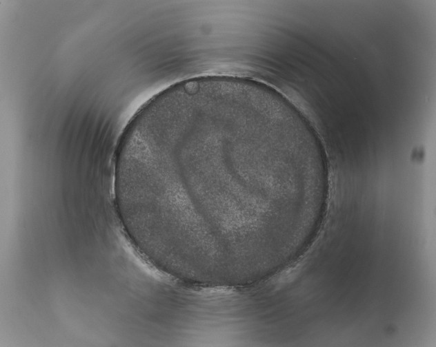 X0000111640838200908141405