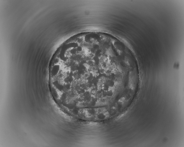 X0000111640839200908141405
