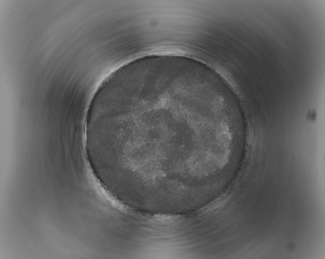 X0000111640840200908141405