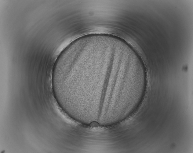 X0000111640842200908141405