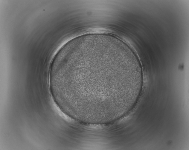 X0000111640843200908141405