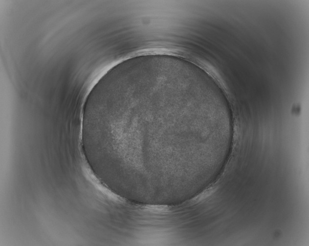 X0000111640844200908141405