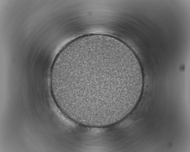 X0000111640848200908141405