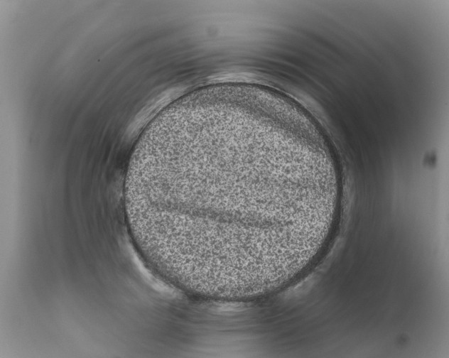 X0000111640849200908141405