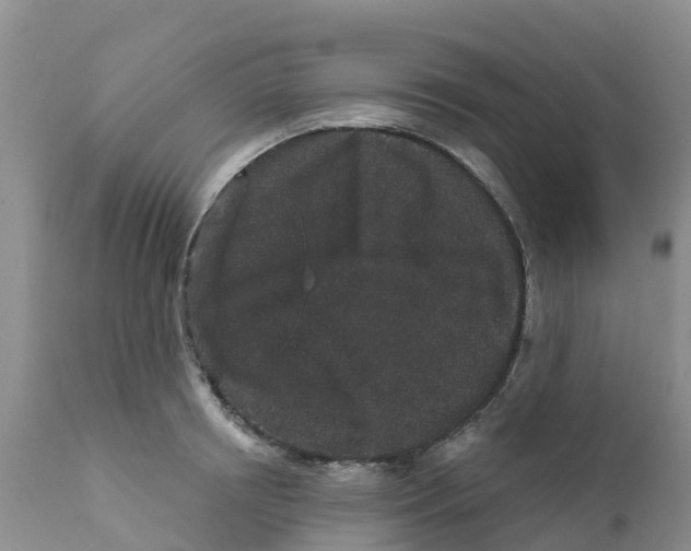 X0000111640850200908141405