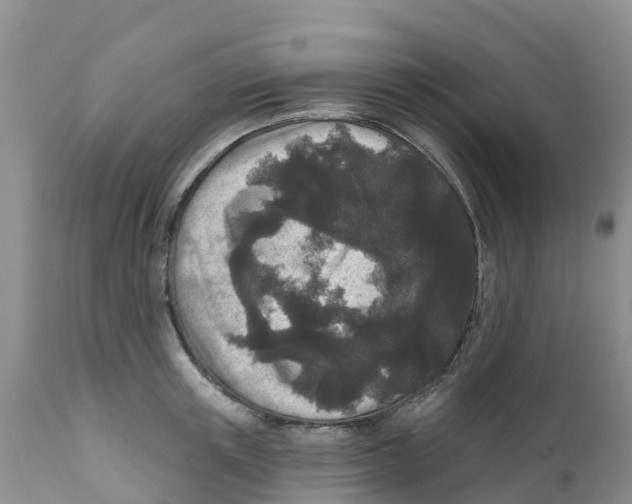X0000111640851200908141405