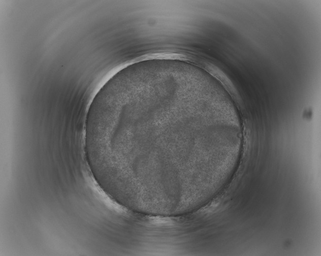 X0000111640852200908141405