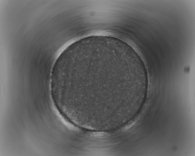 X0000111640853200908141405