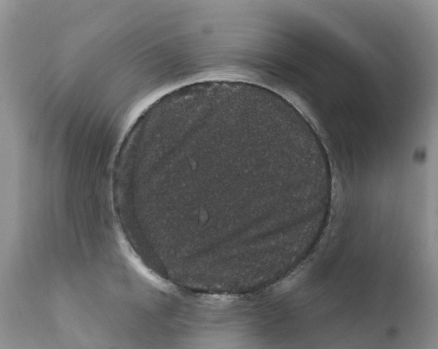 X0000111640854200908141405