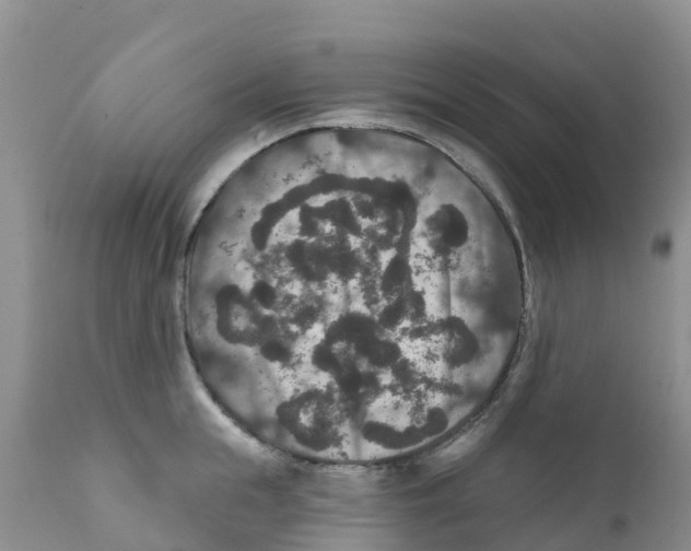 X0000111640855200908141405