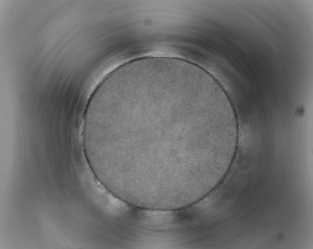 X0000111640856200908141405
