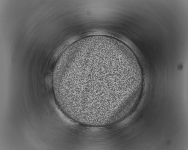 X0000111640857200908141405