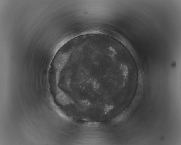 X0000111640858200908141405
