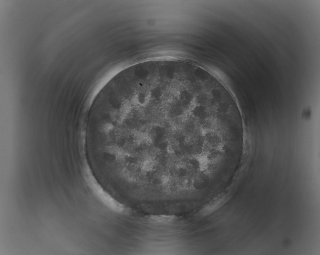 X0000111640859200908141405