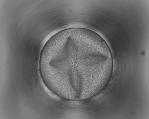 X0000111640861200908141405